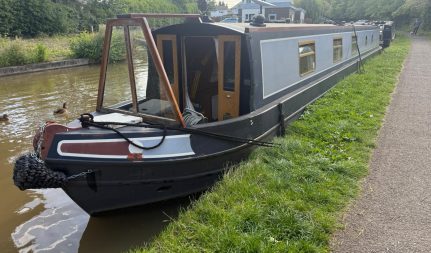 Noahs Auk